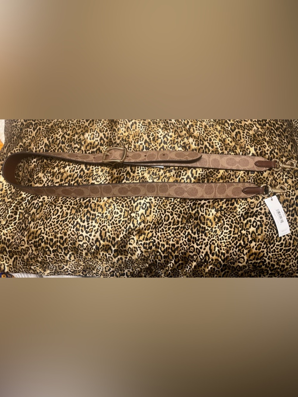 Coach Reversible Crossbody Strap in Signature Canvas